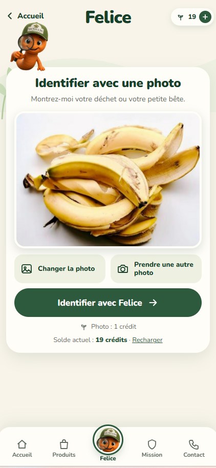 Écran d'identification avec une photo de pelures de banane
