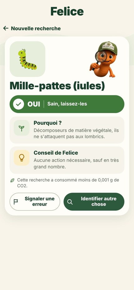 Résultat pour les mille-pattes : OUI, Sain, laissez-les